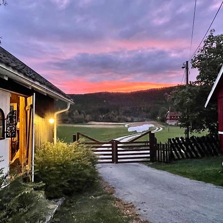 Eika Cottage: Cozy, Rural, Spacious And Well-Equiped Amot  Buitenkant foto